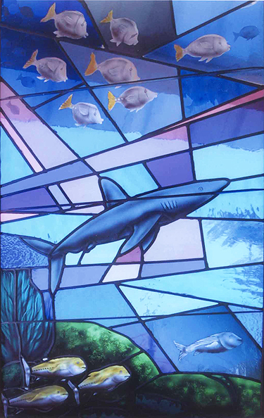 Santa Cruz - Shark